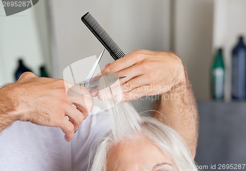 Image of Hairdresser's Hand Cutting Hair In Parlor