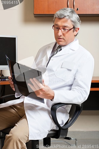 Image of Mature Male Doctor Reading