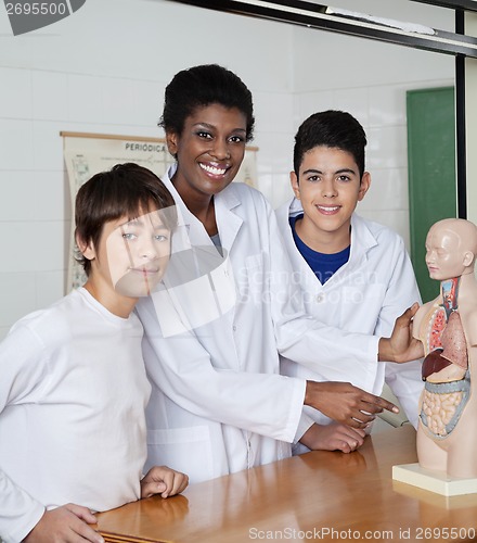 Image of Teacher Pointing At Anatomical Model With Students At Desk