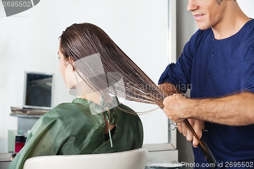 Image of Male Hairdresser Combing Client's Wet Hair