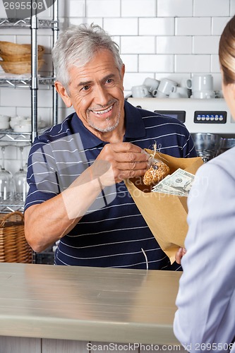 Image of Salesman Giving Grocery Bag While Collecting Cash From Customer