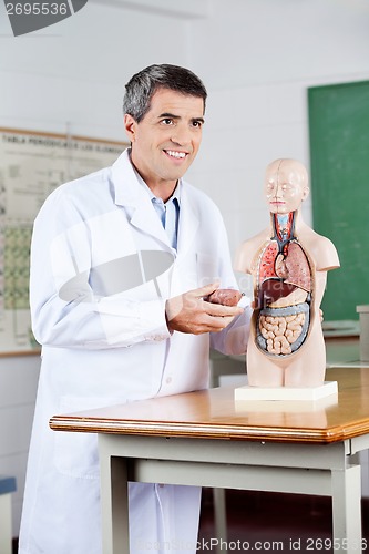 Image of Professor Looking Away While Analyzing Anatomical Model