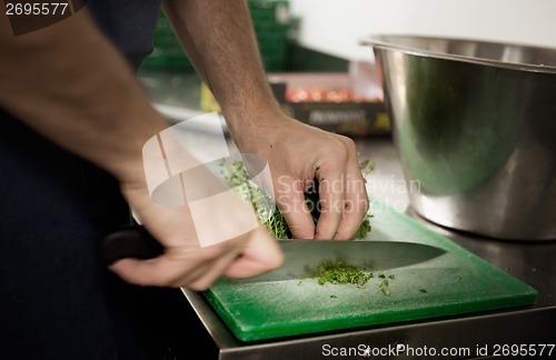 Image of Chef Cutting Herbs