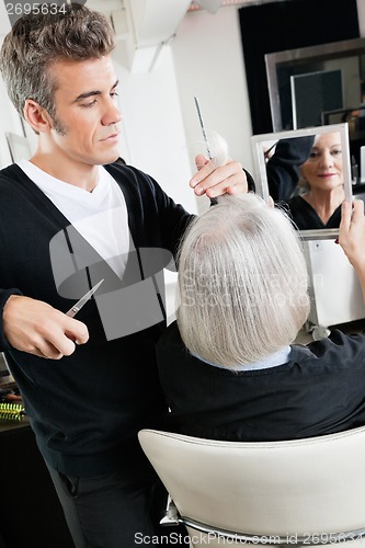 Image of Hairstylist Cutting Hair At Salon