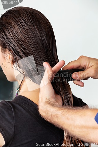 Image of Hairdresser Combing Client's Wet Hair