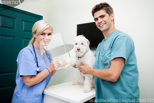 Image of Veterinarian Doctors With A Dog At Clinic