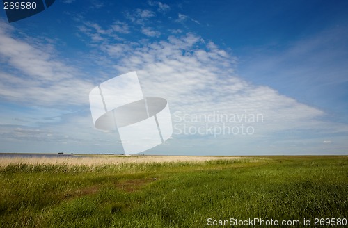 Image of Summer landscape.