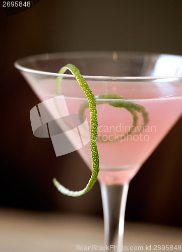 Image of SeaBreeze Cocktail