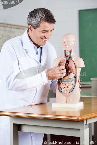 Image of Happy Professor Examining Anatomical Model