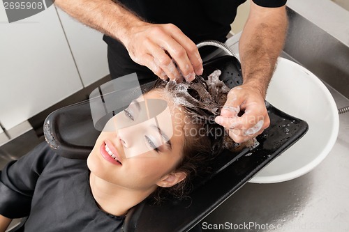 Image of Hairdressers Hand Washing Customer's Hair