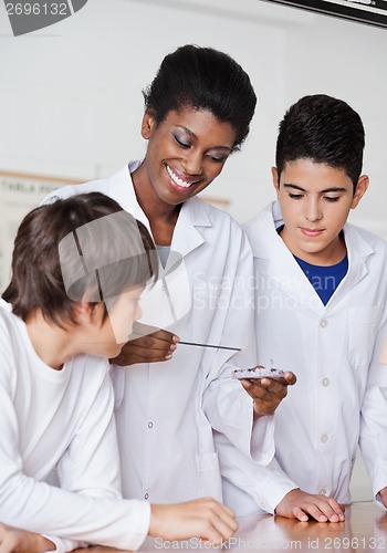 Image of Teacher With Male Students Experimenting At Desk