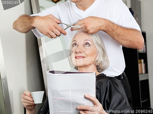 Image of Senior Woman Having Haircut At Salon