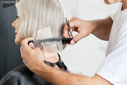 Image of Hairstylist Measuring Hair Length Before Haircut