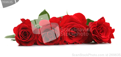 Image of Red roses