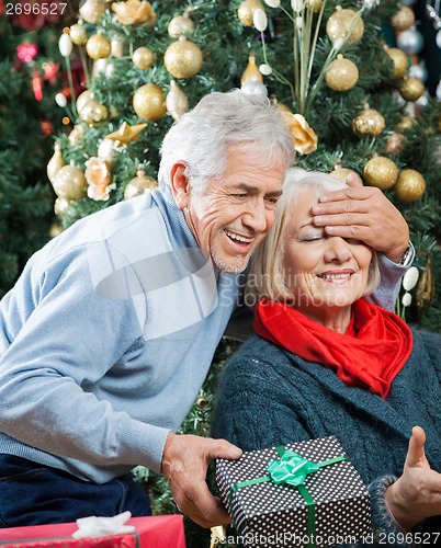 Image of Man Surprising Woman With Christmas Gifts In Store