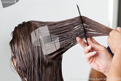 Image of Hands Of Hairdresser Combing Client's Hair