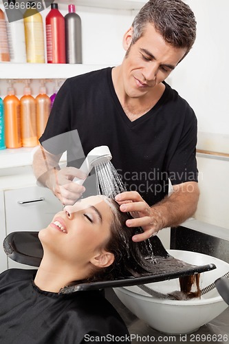 Image of Hairstylist Washing Customer's Hair