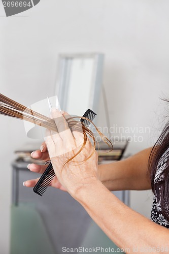 Image of Hairstylist's Hands Cutting Hair