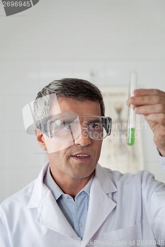 Image of Teacher Analyzing Chemical Solution In Science Lab