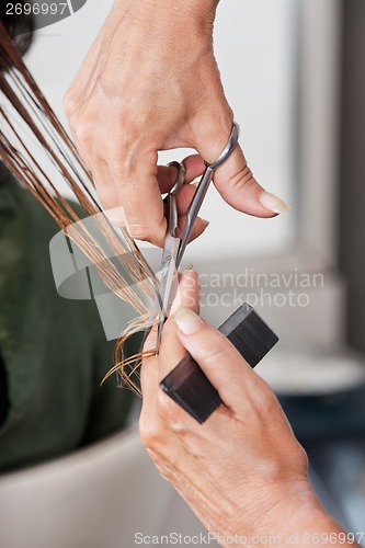 Image of Hands Cutting Wet Hair In Salon