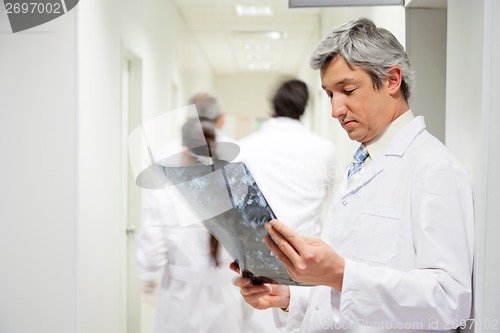 Image of Radiologist Reviewing X-ray