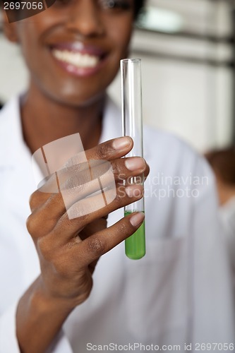Image of Teacher Holding Chemical Solution In Test Tube
