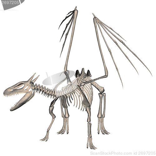 Image of Dragon Skeleton