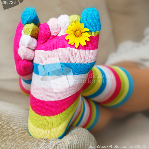 Image of Bright Socks