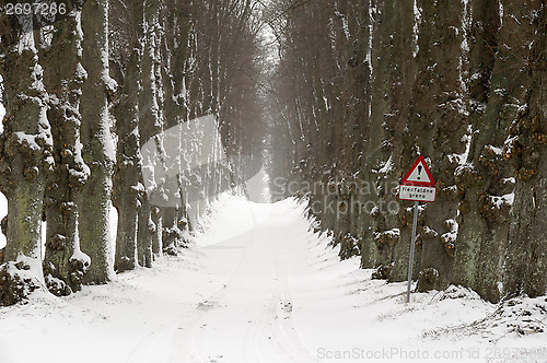 Image of Pathway at winter