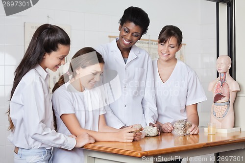 Image of Teenage Schoolgirls With Teacher Analyzing Stones