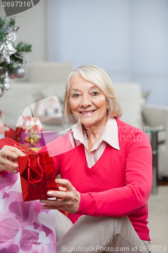 Image of Happy Senior Woman With Christmas Gift