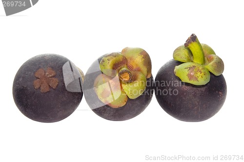 Image of Three Mangosteen

