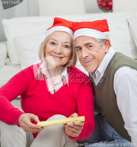 Image of Smiling Senior Couple With Christmas Present