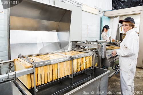 Image of Female Beekeeper Operating Honey Extraction Plant