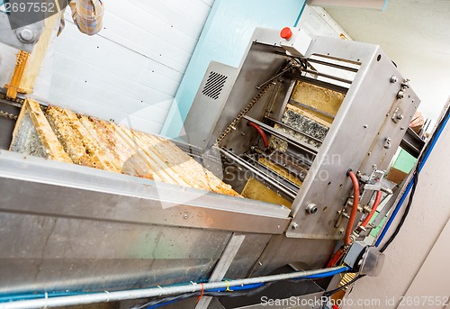 Image of Honey Extraction Plant In Factory