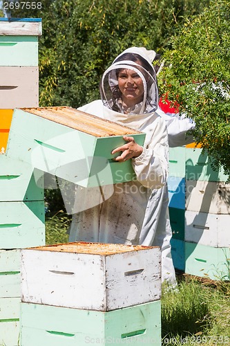 Image of Portrait Of Beekeeper Working At Apiary
