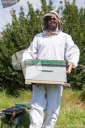 Image of Male Beekeeper Carrying Honeycomb Box