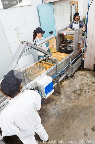 Image of Beekeepers Working On Honey Extraction Plant