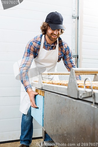 Image of Happy Beekeeper Collecting Honeycombs In Box