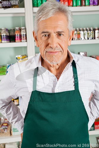 Image of Senior Male Owner Standing In Grocery Store