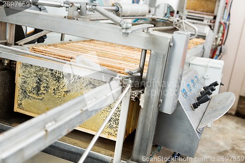 Image of Honey Extraction Plant