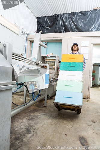 Image of Beekeeper With Stacked Honeycomb Crates In Trolley