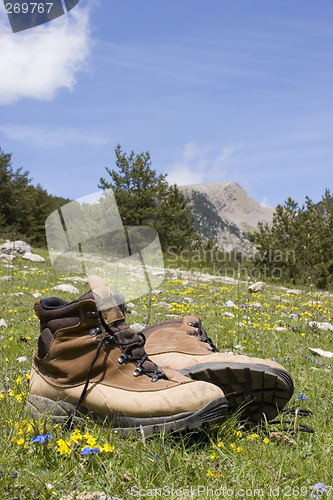 Image of Summer in the mountains