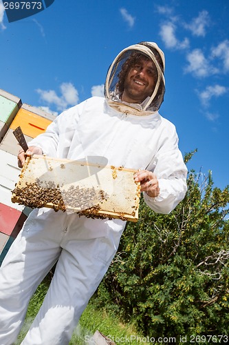 Image of Beekeeper Holding Honeycomb Frame At Apiary