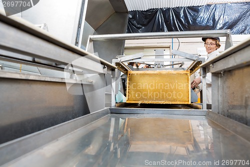 Image of Female Beekeeper Operating Honey Extraction Plant