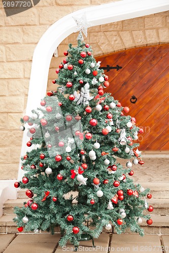 Image of Christmas Tree In Front Of House