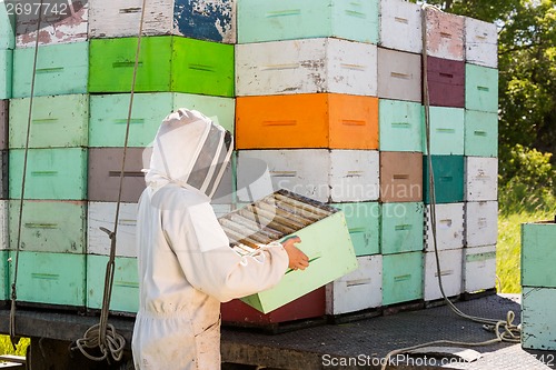 Image of Beekeeper Unloading Honeycomb Crate From Truck