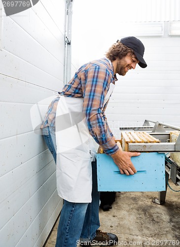 Image of Beekeeper Collecting Honeycombs In Box In Factory