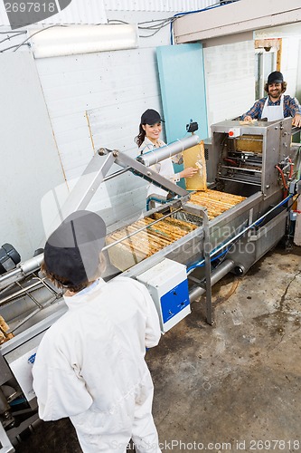 Image of Beekeepers Working On Honey Extraction Plant