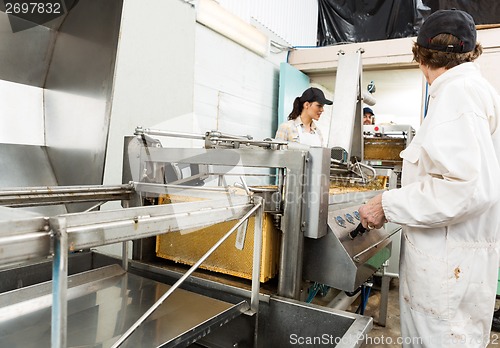 Image of Beekeepers Working On Honey Extraction Plant